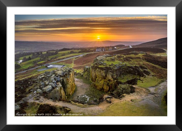 Cow and Calf sunrise. Framed Mounted Print by Chris North
