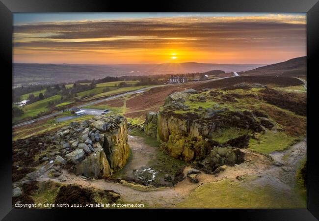 Cow and Calf sunrise. Framed Print by Chris North
