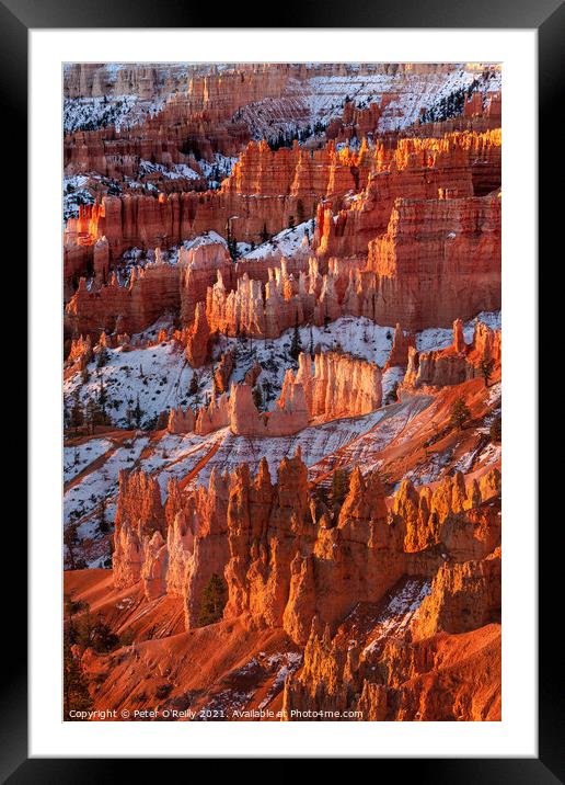Morning Light, Bryce Canyon Framed Mounted Print by Peter O'Reilly