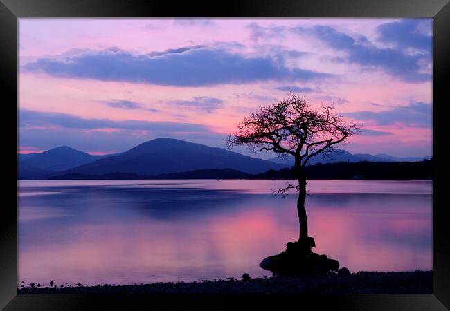 The Solitude of a Scottish Sunset Framed Print by Tommy Dickson