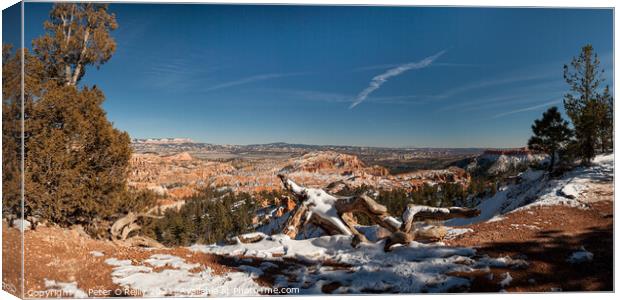 Bryce Canyon Amphitheatre Canvas Print by Peter O'Reilly