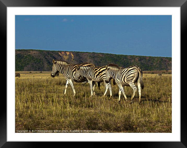 Follow the Leader Framed Mounted Print by Tessa Wilson