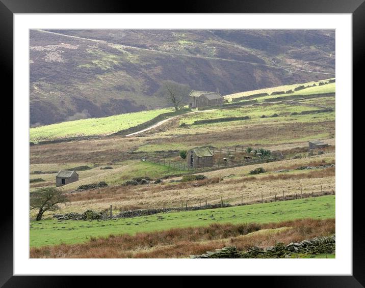 Pennine Moors farm Framed Mounted Print by Roy Hinchliffe