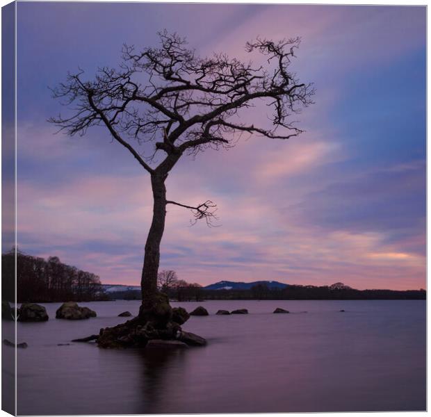 Loch Lomond At Sunset Canvas Print by Tommy Dickson