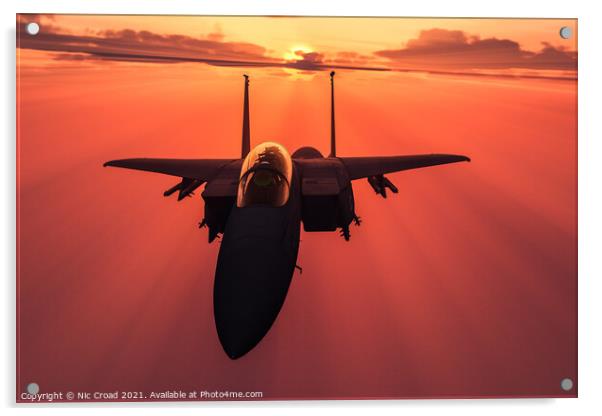 McDonnell Douglas F-15E Strike Eagle Acrylic by Nic Croad
