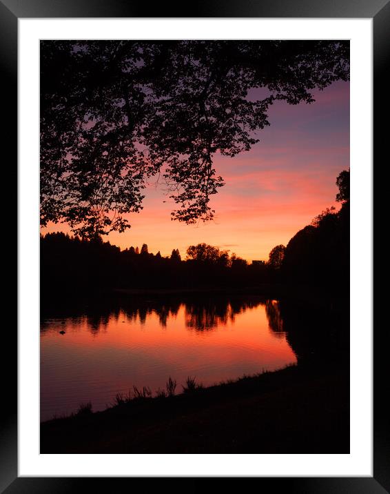 Sunset at Callendar Park, Falkirk. Framed Mounted Print by Tommy Dickson