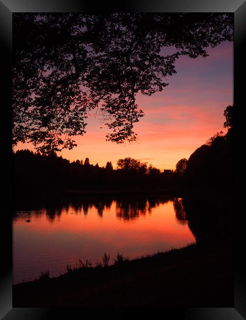 Sunset at Callendar Park, Falkirk. Framed Print by Tommy Dickson