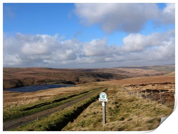 Pennine Way Marsden moor Print by Roy Hinchliffe