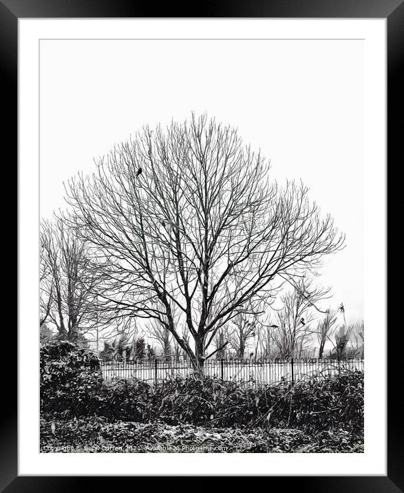 Melancholic Winter Tree Framed Mounted Print by Beryl Curran