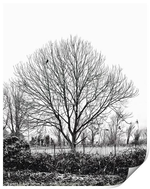 Melancholic Winter Tree Print by Beryl Curran