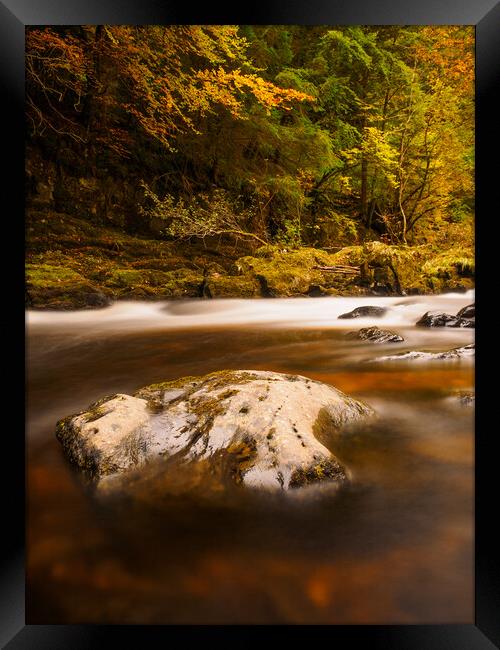 Autumn in Scotland. Framed Print by Tommy Dickson