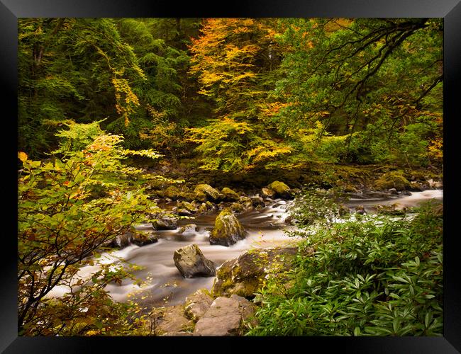 River Braan Autumn. Framed Print by Tommy Dickson