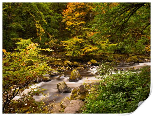 River Braan Autumn. Print by Tommy Dickson