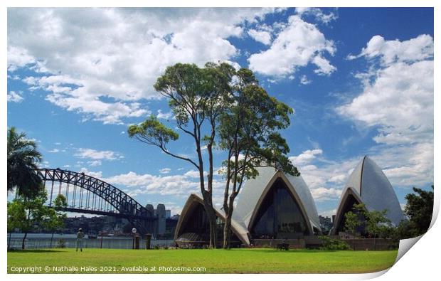 Sydney Opera House and Harbour Bridge Print by Nathalie Hales