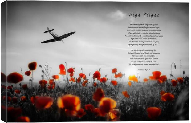 High Flight Canvas Print by J Biggadike