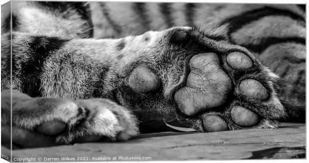 Your Tiger Feet Canvas Print by Darren Wilkes