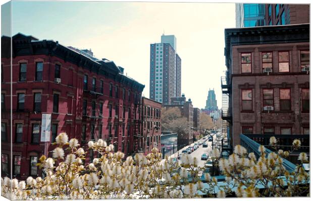 From the High Line Canvas Print by Simon Peake