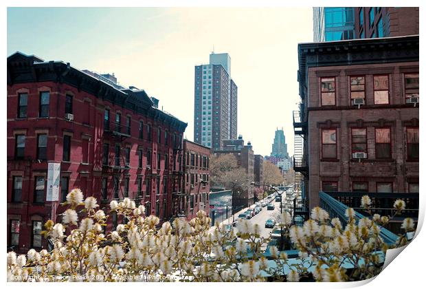 From the High Line Print by Simon Peake