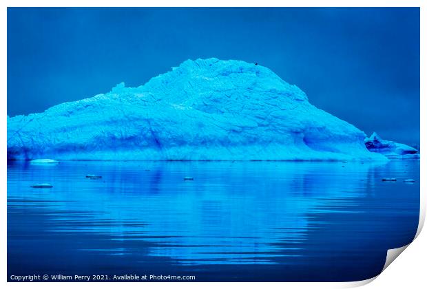 Snowing Blue Iceberg Reflection Paradise Bay Skintorp Cove Antar Print by William Perry