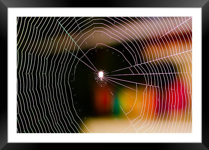 Spiderweb Framed Mounted Print by Robinson Thomas