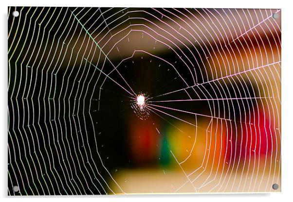 Spiderweb Acrylic by Robinson Thomas