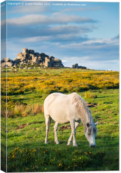 Dartmoor Pony at Hound Tor Canvas Print by Justin Foulkes