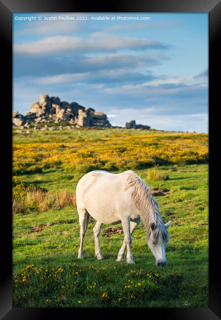 Dartmoor Pony at Hound Tor Framed Print by Justin Foulkes