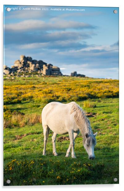Dartmoor Pony at Hound Tor Acrylic by Justin Foulkes