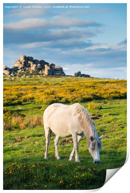 Dartmoor Pony at Hound Tor Print by Justin Foulkes