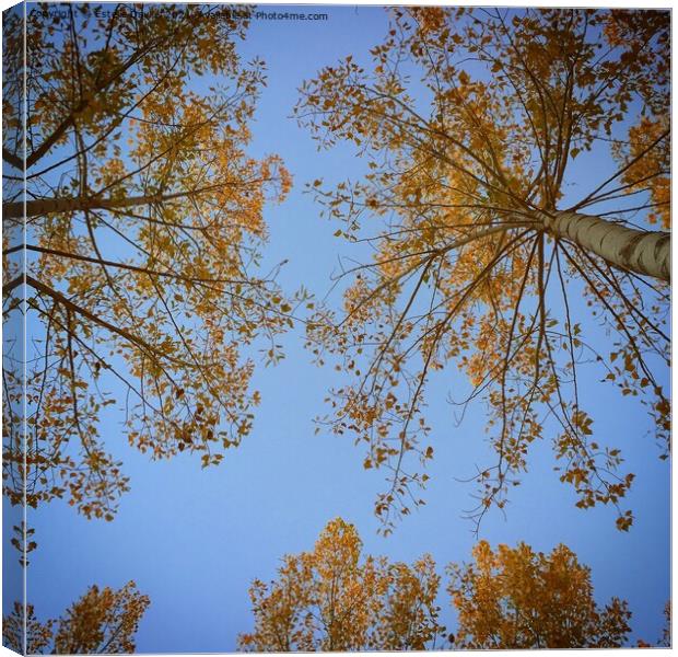 Gower Tree skyline  Canvas Print by Estelle Davies