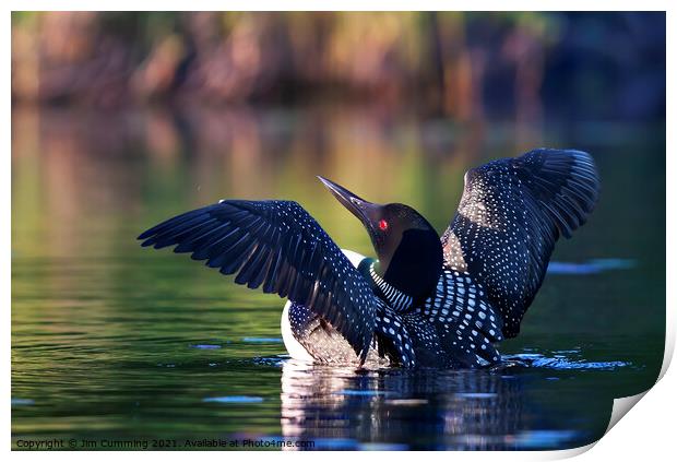 Common loon greets the morning Print by Jim Cumming