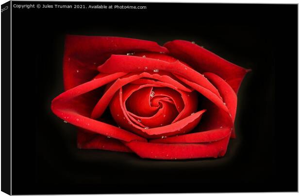 Dewy Red Rose Canvas Print by Jules D Truman