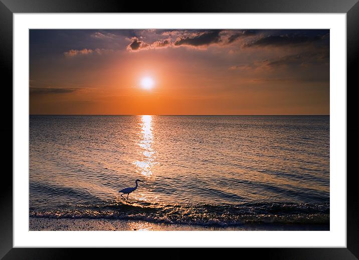 Sunset Fisherman Framed Mounted Print by Mike Dawson