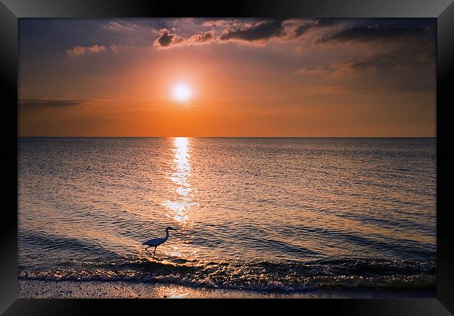 Sunset Fisherman Framed Print by Mike Dawson