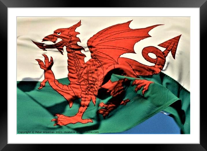 The Welsh Dragon Framed Mounted Print by Peter Wiseman