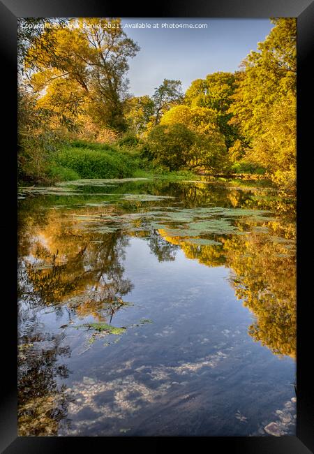 River Stour in Autumn Framed Print by Derek Daniel