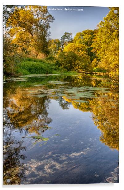 River Stour in Autumn Acrylic by Derek Daniel