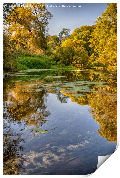 River Stour in Autumn Print by Derek Daniel