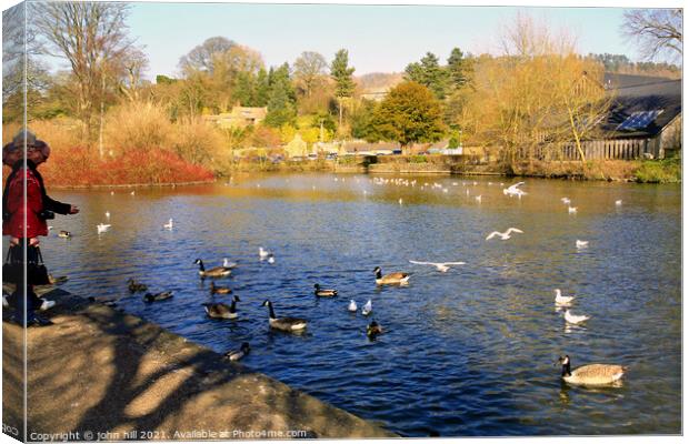 Feed the birds on the River Wye at Bakewell in Derbyshire. Canvas Print by john hill