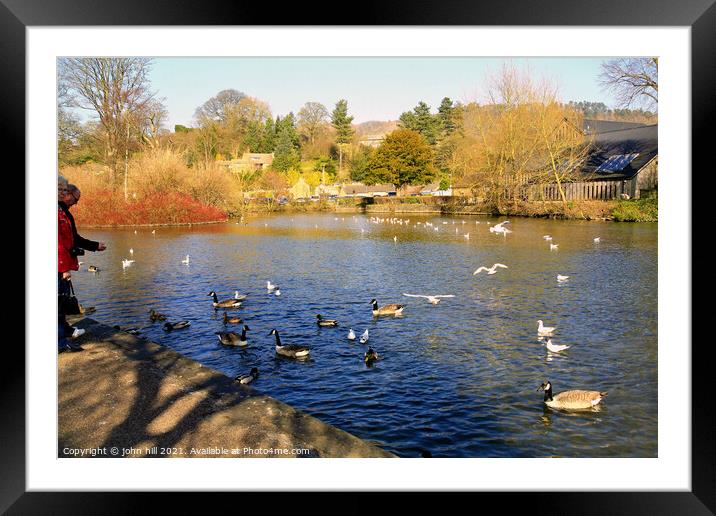 Feed the birds on the River Wye at Bakewell in Derbyshire. Framed Mounted Print by john hill