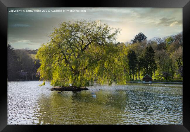 Weeping willow,Portrait of a tree on a lake, Framed Print by kathy white