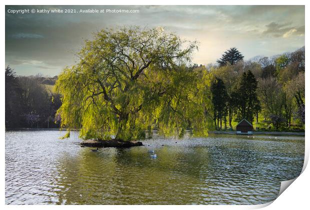 Weeping willow,Portrait of a tree on a lake, Print by kathy white