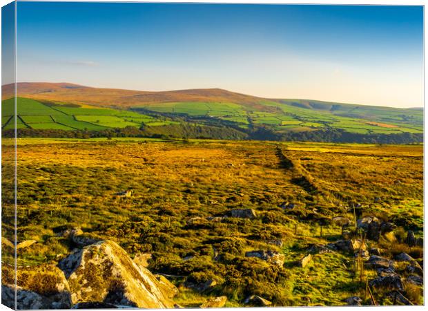 Preseli Hills, Pembrokeshire, Wales, UK Canvas Print by Mark Llewellyn