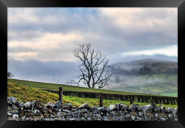 Lone Tree near Bassenthwaite Lake  Framed Print by Phil Longfoot