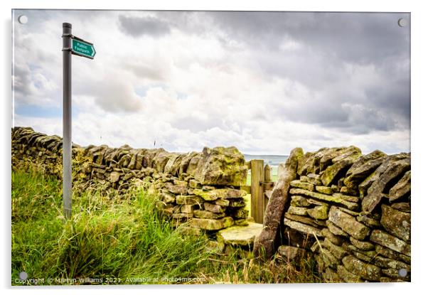 A Derbyshire Countryside Path Acrylic by Martyn Williams