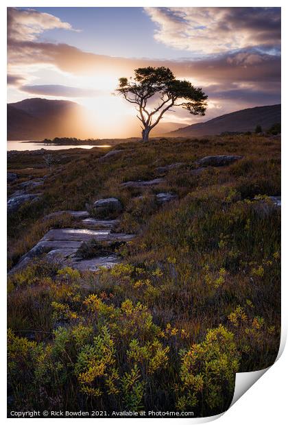 Loch Maree Scotland Print by Rick Bowden