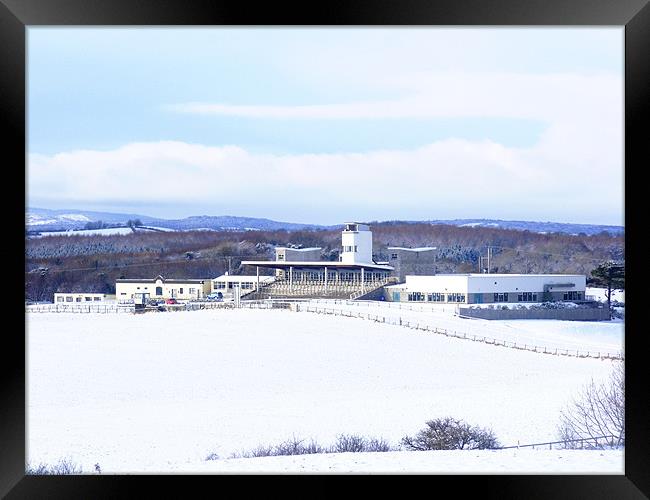 Downpatrick racecourse Framed Print by Ciara Hegarty