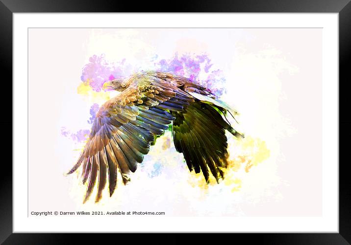 White Tailed Eagle Art Framed Mounted Print by Darren Wilkes