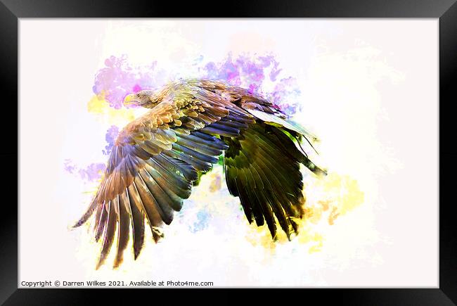 White Tailed Eagle Art Framed Print by Darren Wilkes