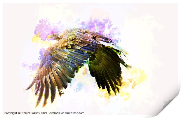 White Tailed Eagle Art Print by Darren Wilkes